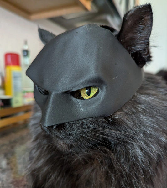 Cat Mask